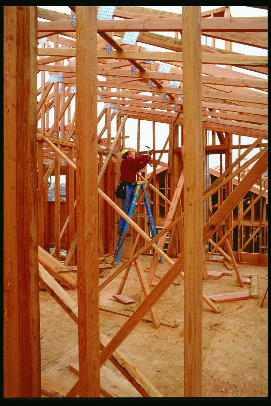 People and Lifestyles 6 - DiAMAR ></a>
<script language=JavaScript> 
  var txt = 