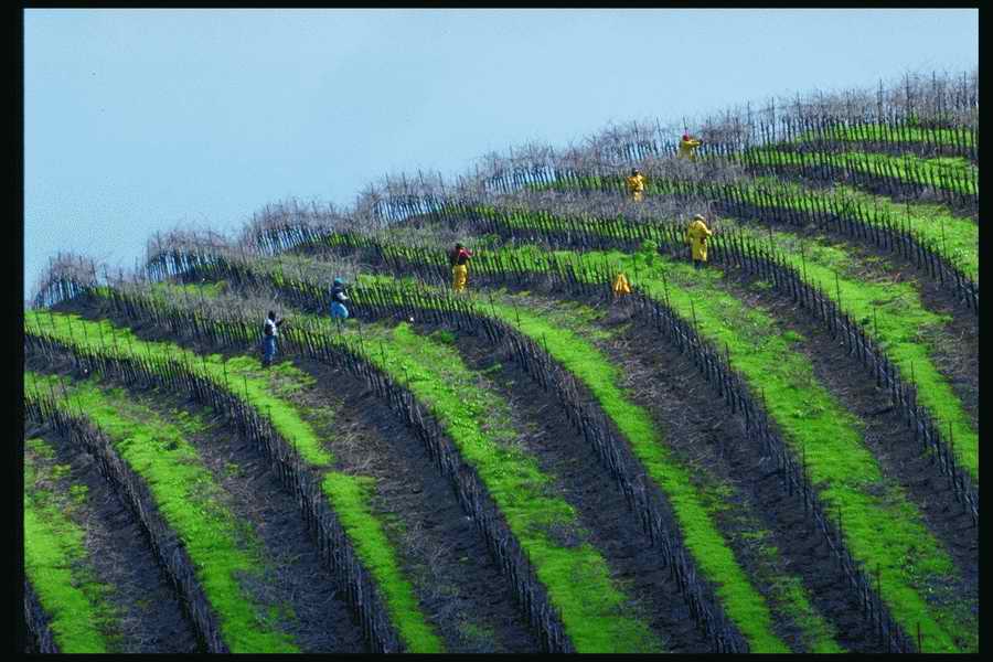 People and Lifestyles 6 - DiAMAR ></a>
<script language=JavaScript> 
  var txt = 