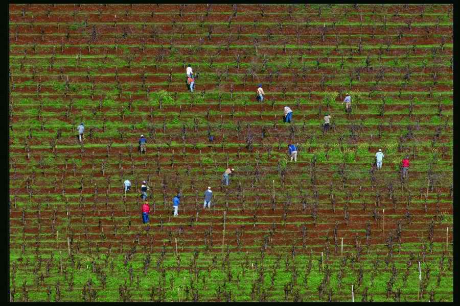 People and Lifestyles 6 - DiAMAR ></a>
<script language=JavaScript> 
  var txt = 