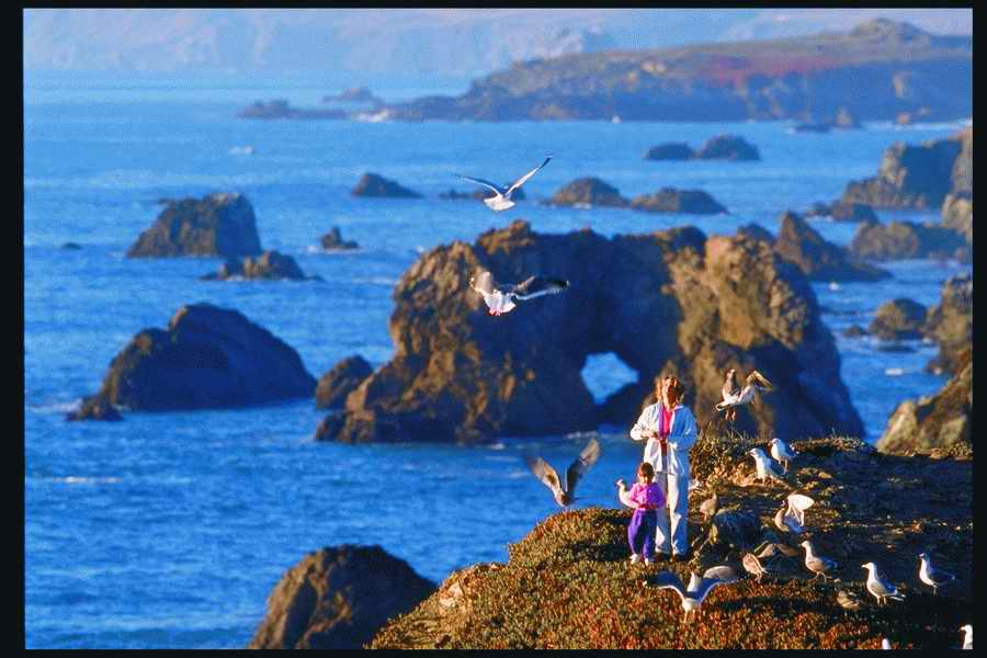 People and Lifestyles 7 - DiAMAR ></a>
<script language=JavaScript> 
  var txt = 