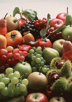 Datacraft Sozaijiten : Abundant Harvest of Fruit 