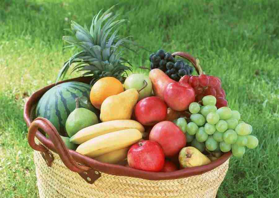 Abundant Harvest of Fruit - Datacraft Sozaijiten  ></a>
<script language=JavaScript> 
  var txt = 