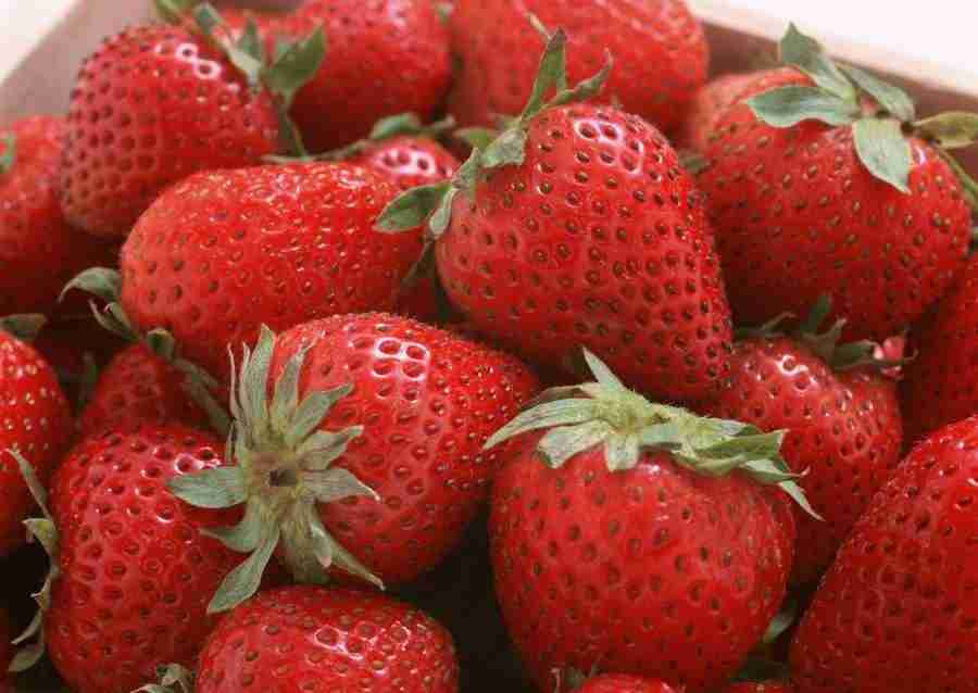 Abundant Harvest of Fruit - Datacraft Sozaijiten  ></a>
<script language=JavaScript> 
  var txt = 