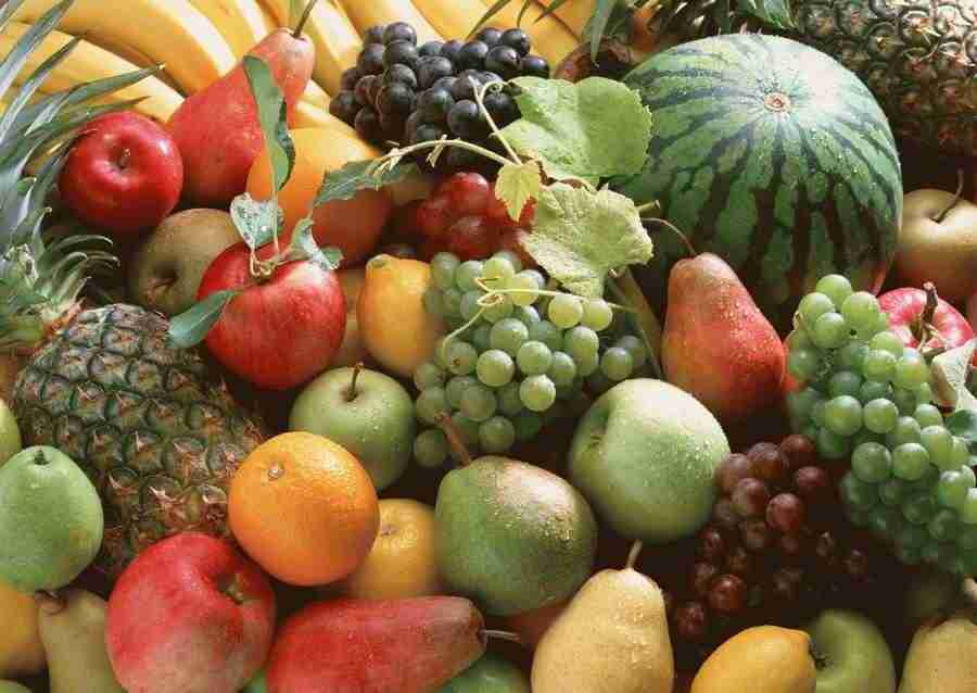 Abundant Harvest of Fruit - Datacraft Sozaijiten  ></a>
<script language=JavaScript> 
  var txt = 