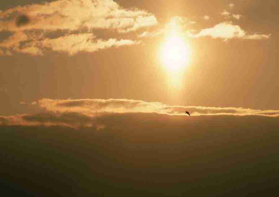 Clouds - Datacraft Sozaijiten  ></a>
<script language=JavaScript> 
  var txt = 