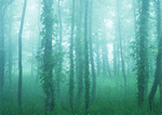 Datacraft Sozaijiten : Forest Depths 