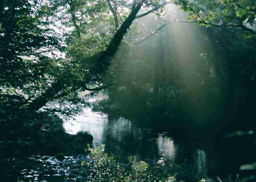 Forest Depths - Datacraft Sozaijiten  ></a>
<script language=JavaScript> 
  var txt = 