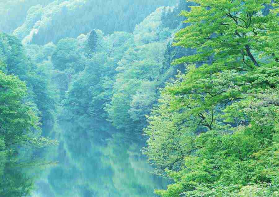 Forest Depths - Datacraft Sozaijiten  ></a>
<script language=JavaScript> 
  var txt = 