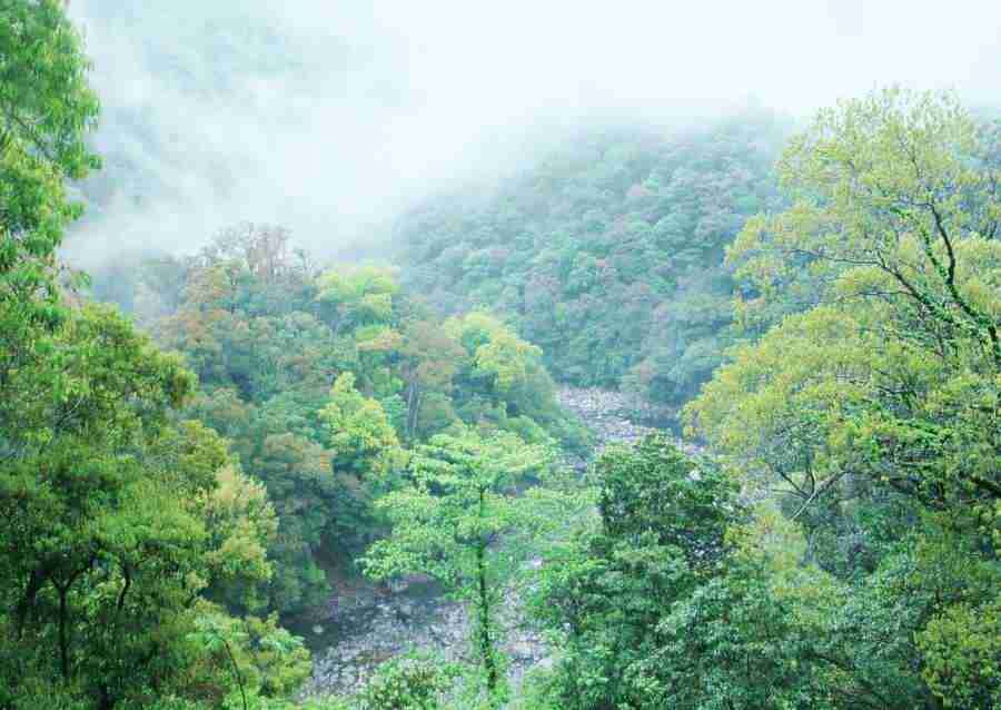 Forest Depths - Datacraft Sozaijiten  ></a>
<script language=JavaScript> 
  var txt = 