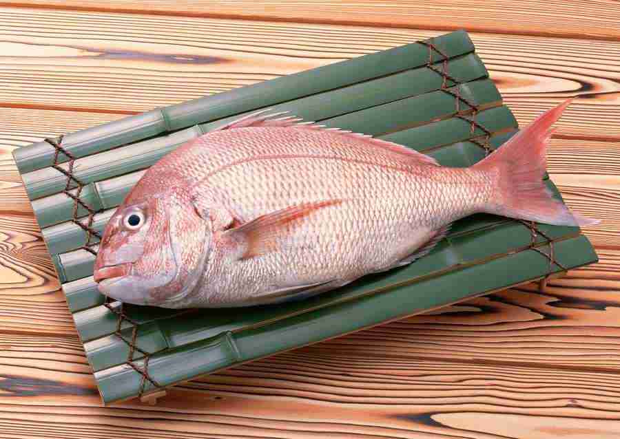 Fresh Fish - Datacraft Sozaijiten  ></a>
<script language=JavaScript> 
  var txt = 