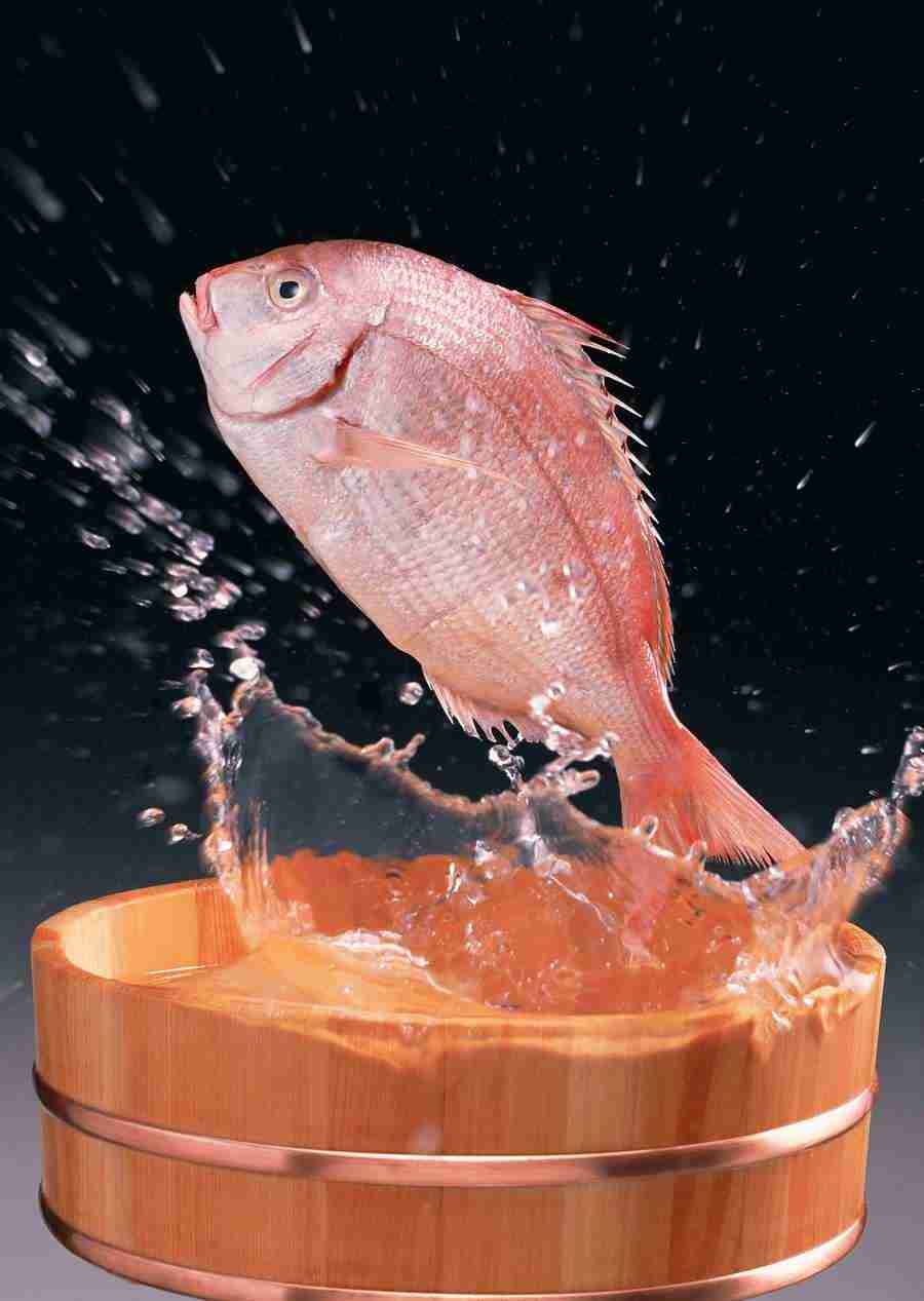 Fresh Fish - Datacraft Sozaijiten  ></a>
<script language=JavaScript> 
  var txt = 