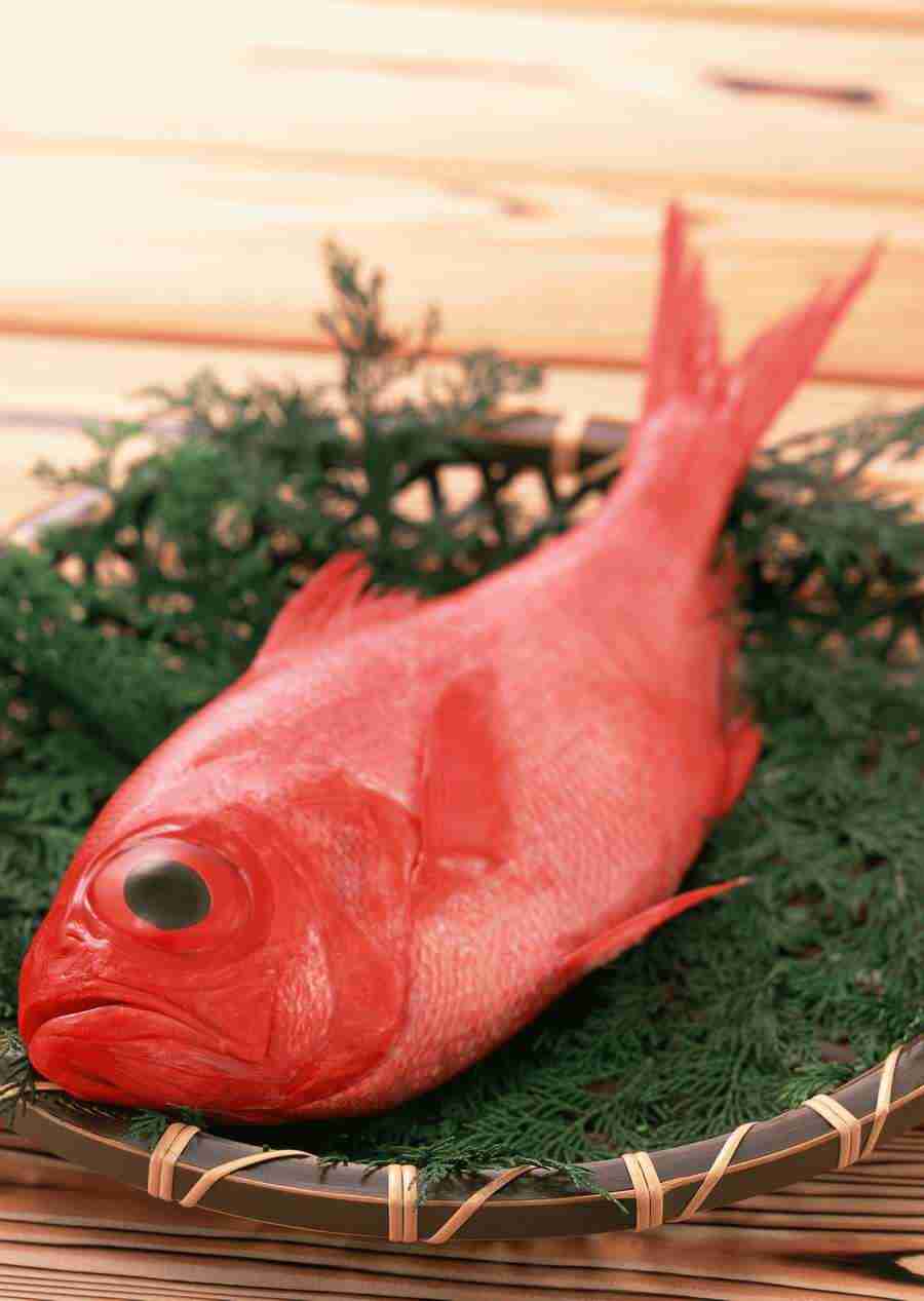 Fresh Fish - Datacraft Sozaijiten  ></a>
<script language=JavaScript> 
  var txt = 