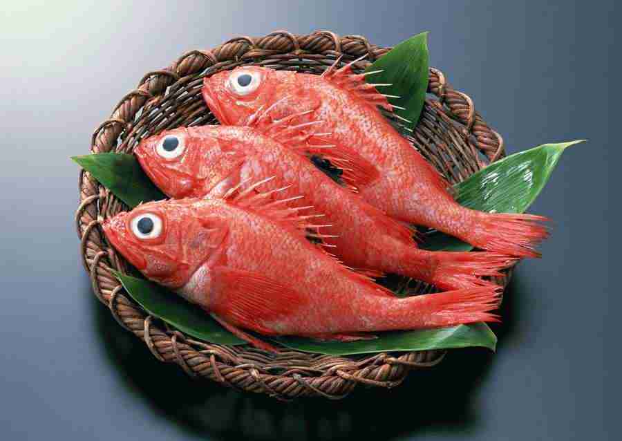 Fresh Fish - Datacraft Sozaijiten  ></a>
<script language=JavaScript> 
  var txt = 
