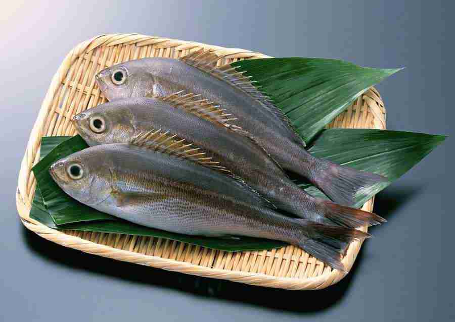 Fresh Fish - Datacraft Sozaijiten  ></a>
<script language=JavaScript> 
  var txt = 