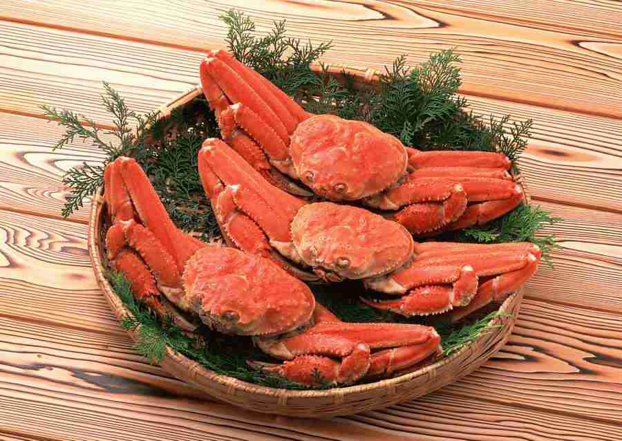 Fresh Fish - Datacraft Sozaijiten  ></a>
<script language=JavaScript> 
  var txt = 