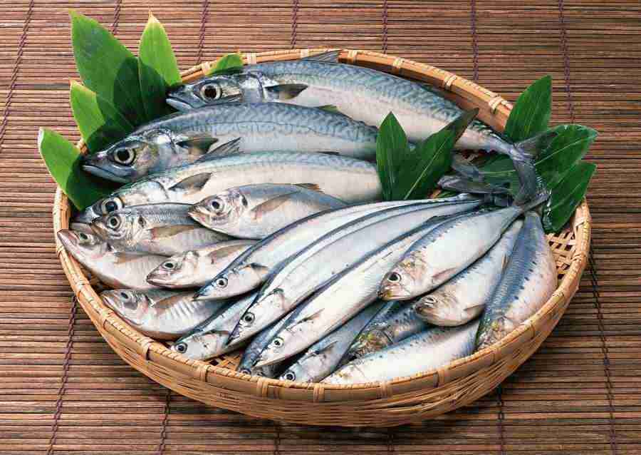Fresh Fish - Datacraft Sozaijiten  ></a>
<script language=JavaScript> 
  var txt = 
