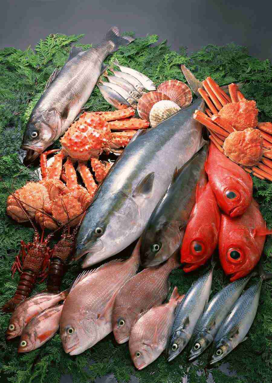 Fresh Fish - Datacraft Sozaijiten  ></a>
<script language=JavaScript> 
  var txt = 