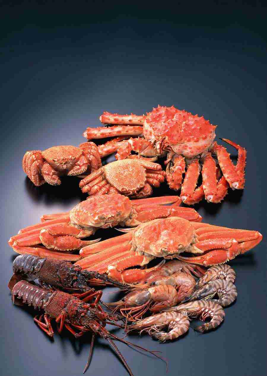 Fresh Fish - Datacraft Sozaijiten  ></a>
<script language=JavaScript> 
  var txt = 