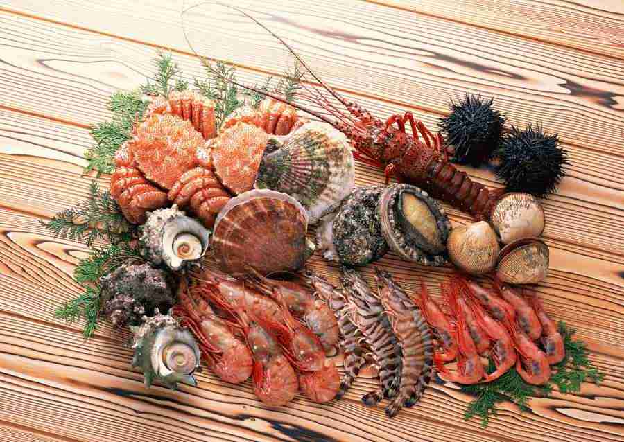 Fresh Fish - Datacraft Sozaijiten  ></a>
<script language=JavaScript> 
  var txt = 
