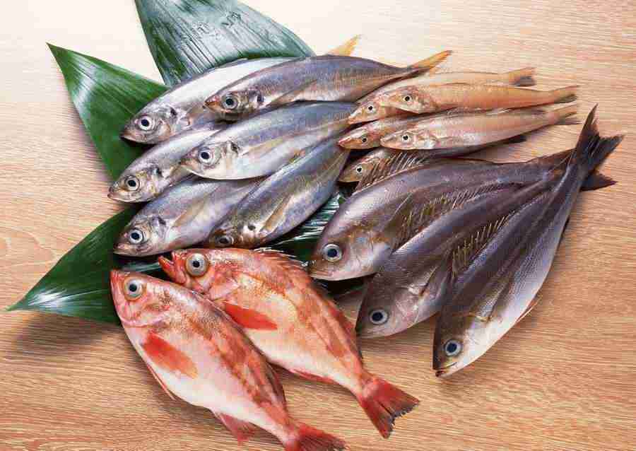 Fresh Fish - Datacraft Sozaijiten  ></a>
<script language=JavaScript> 
  var txt = 