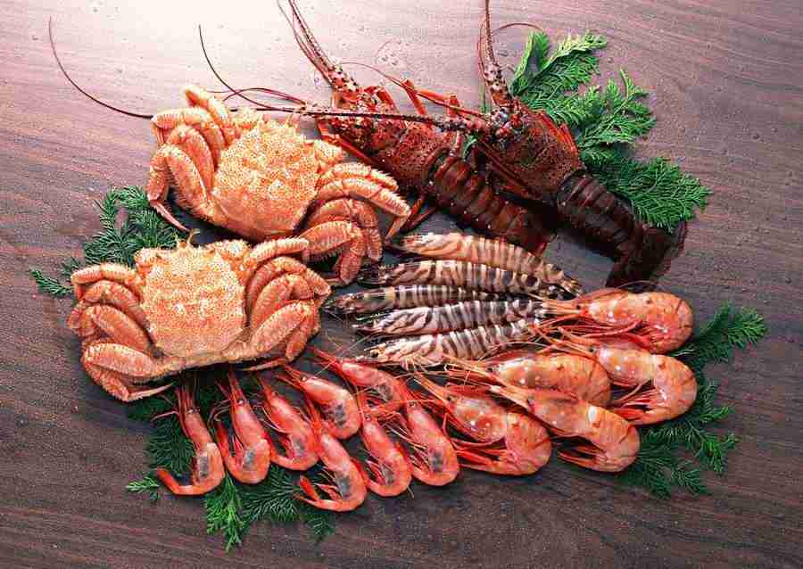 Fresh Fish - Datacraft Sozaijiten  ></a>
<script language=JavaScript> 
  var txt = 