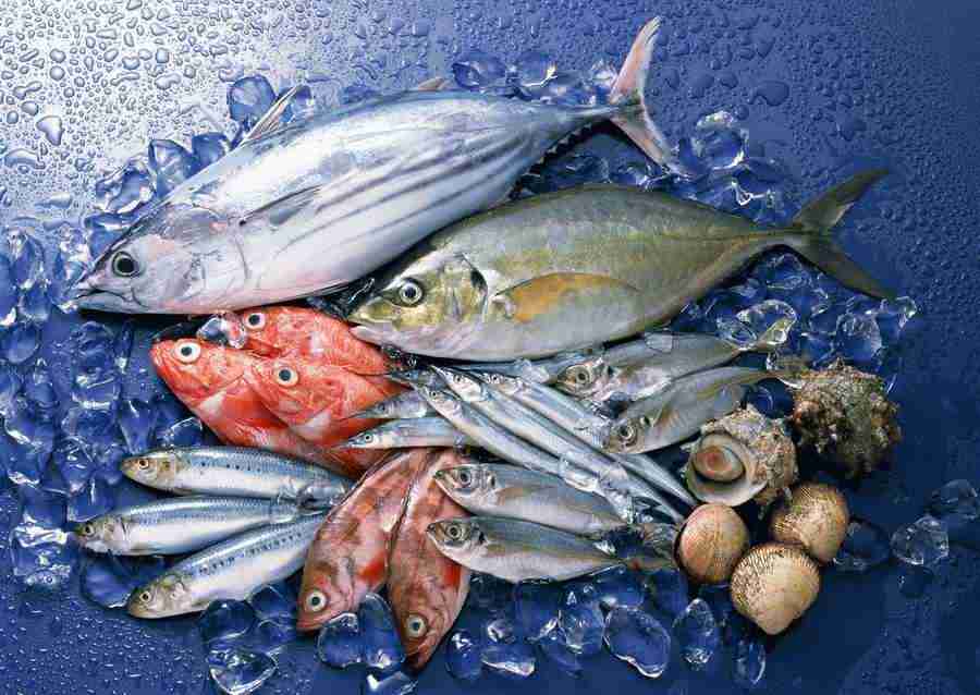 Fresh Fish - Datacraft Sozaijiten  ></a>
<script language=JavaScript> 
  var txt = 