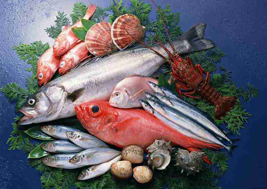 Fresh Fish - Datacraft Sozaijiten  ></a>
<script language=JavaScript> 
  var txt = 
