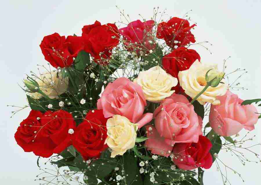 Flowers - Datacraft Sozaijiten  ></a>
<script language=JavaScript> 
  var txt = 