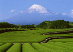 Datacraft Sozaijiten : Four Seasons in The Country 