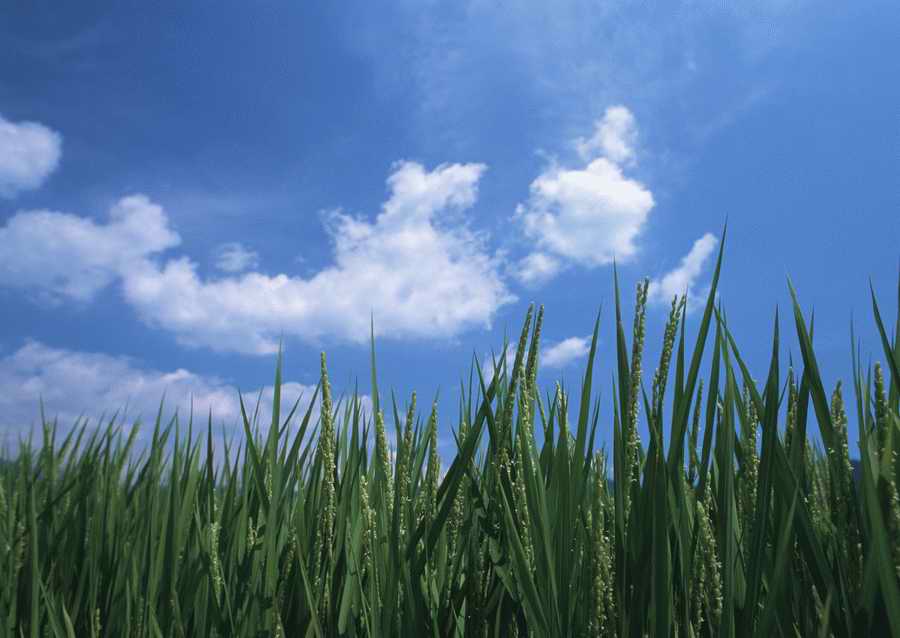 Four Seasons in The Country - Datacraft Sozaijiten  ></a>
<script language=JavaScript> 
  var txt = 