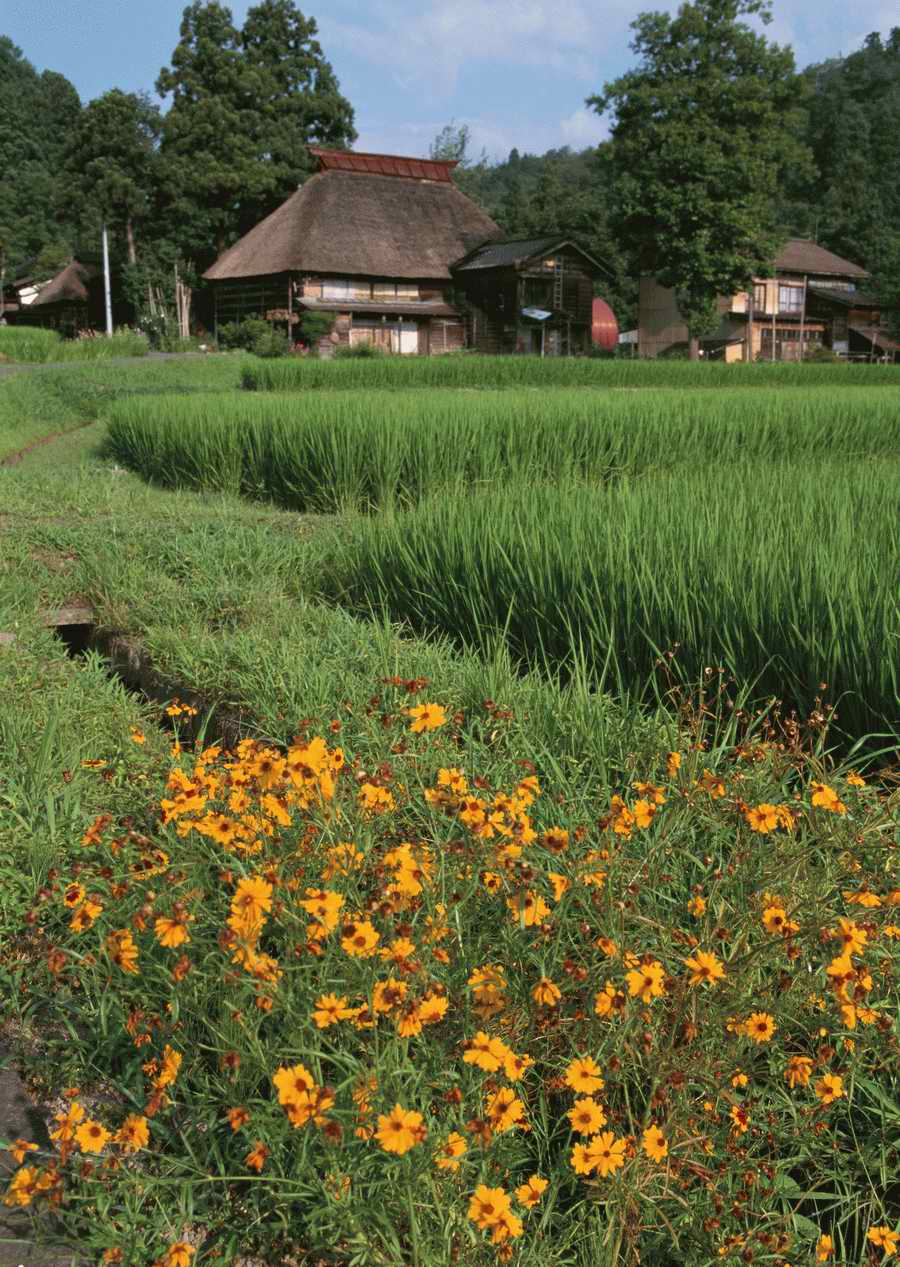 Four Seasons in The Country - Datacraft Sozaijiten  ></a>
<script language=JavaScript> 
  var txt = 