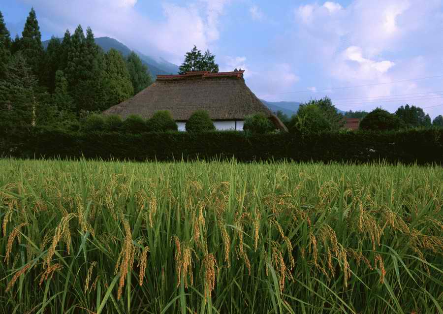 Four Seasons in The Country - Datacraft Sozaijiten  ></a>
<script language=JavaScript> 
  var txt = 