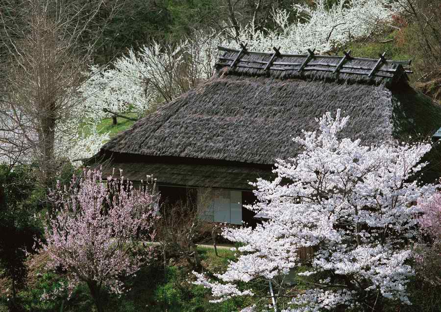Four Seasons in The Country - Datacraft Sozaijiten  ></a>
<script language=JavaScript> 
  var txt = 
