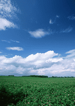 Datacraft Sozaijiten : Ground and Sky 