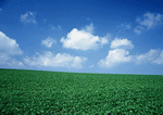 Datacraft Sozaijiten : Ground and Sky 