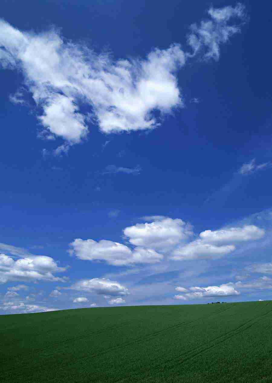 Ground and Sky - Datacraft Sozaijiten  ></a>
<script language=JavaScript> 
  var txt = 