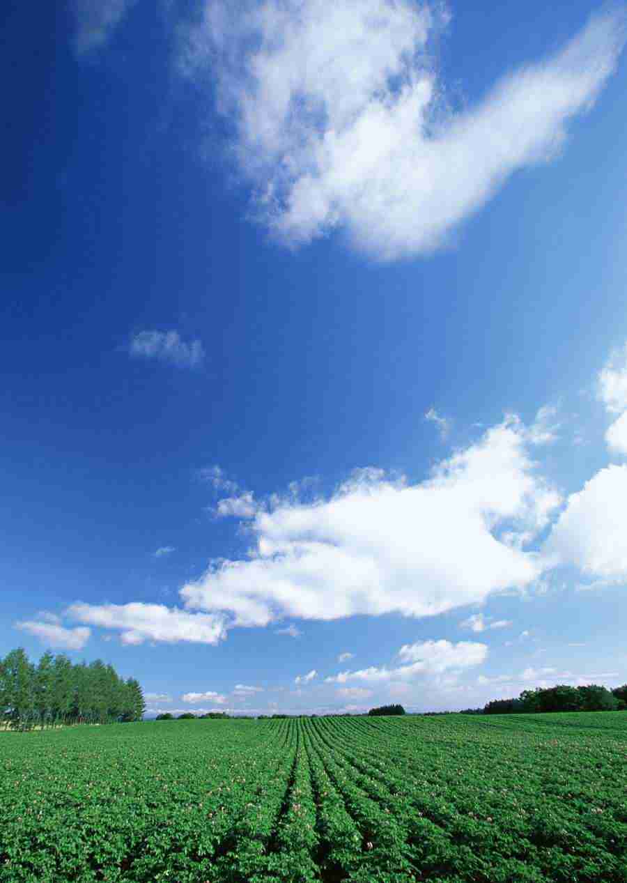 Ground and Sky - Datacraft Sozaijiten  ></a>
<script language=JavaScript> 
  var txt = 