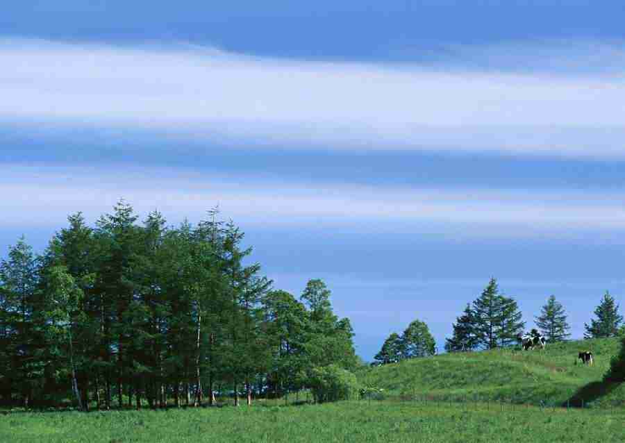 Ground and Sky - Datacraft Sozaijiten  ></a>
<script language=JavaScript> 
  var txt = 