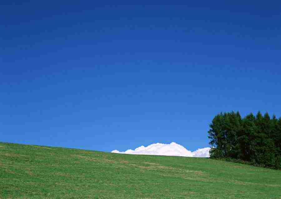 Ground and Sky - Datacraft Sozaijiten  ></a>
<script language=JavaScript> 
  var txt = 