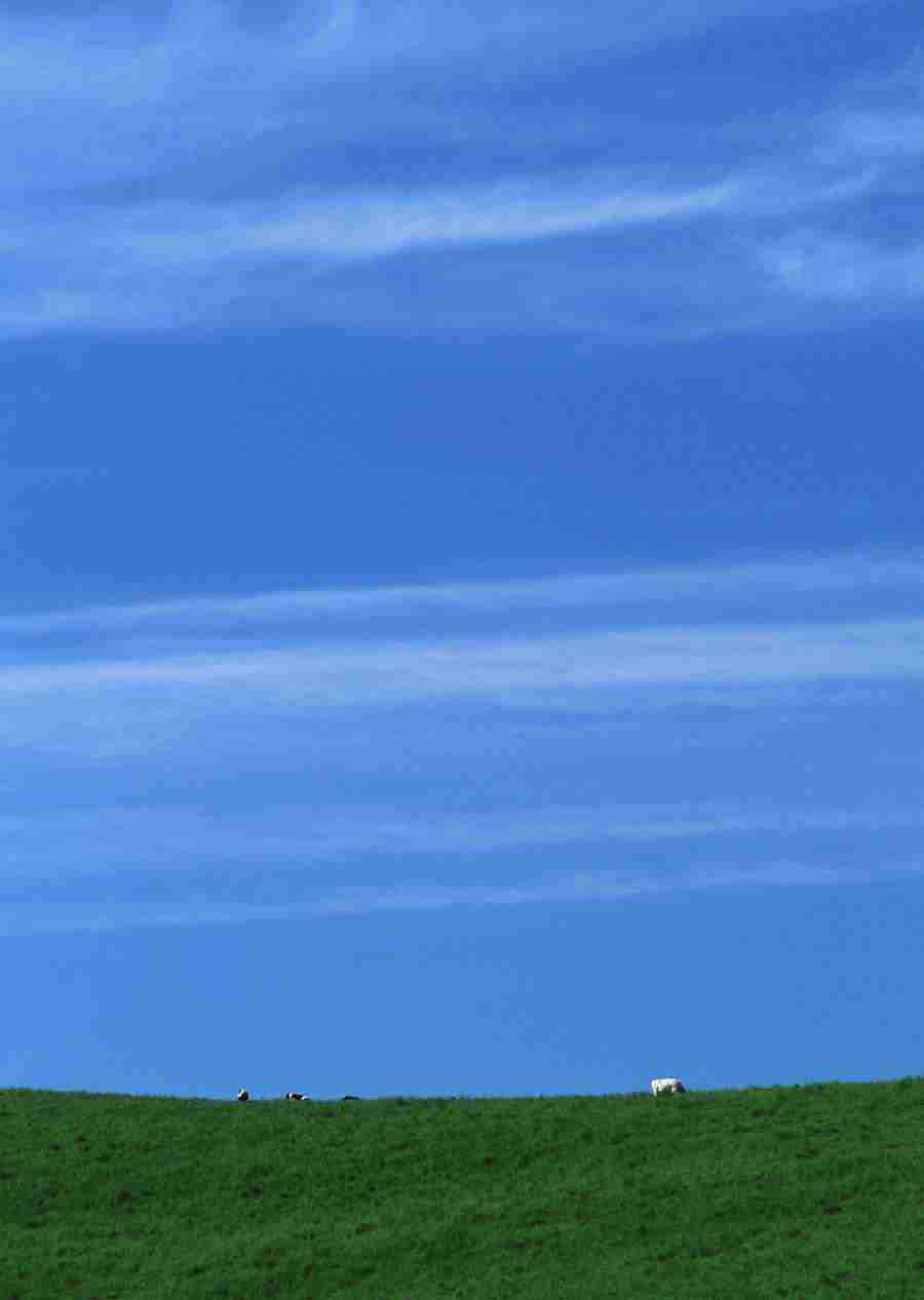 Ground and Sky - Datacraft Sozaijiten  ></a>
<script language=JavaScript> 
  var txt = 