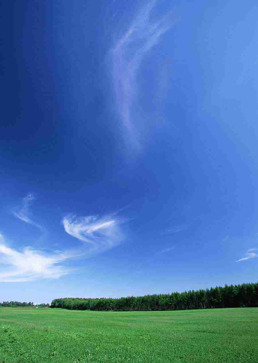 Ground and Sky - Datacraft Sozaijiten  ></a>
<script language=JavaScript> 
  var txt = 