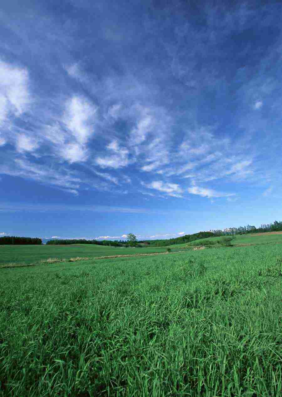 Ground and Sky - Datacraft Sozaijiten  ></a>
<script language=JavaScript> 
  var txt = 