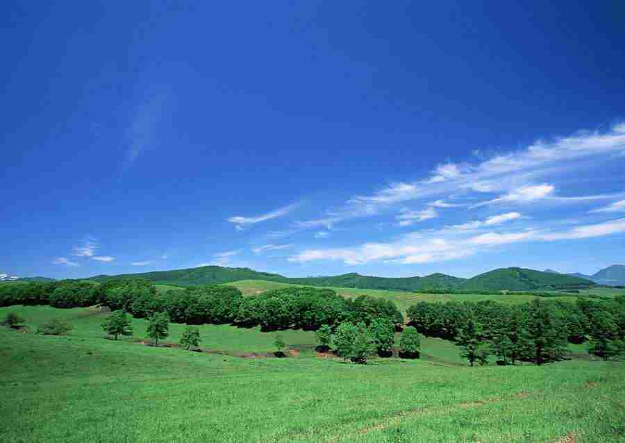 Ground and Sky - Datacraft Sozaijiten  ></a>
<script language=JavaScript> 
  var txt = 