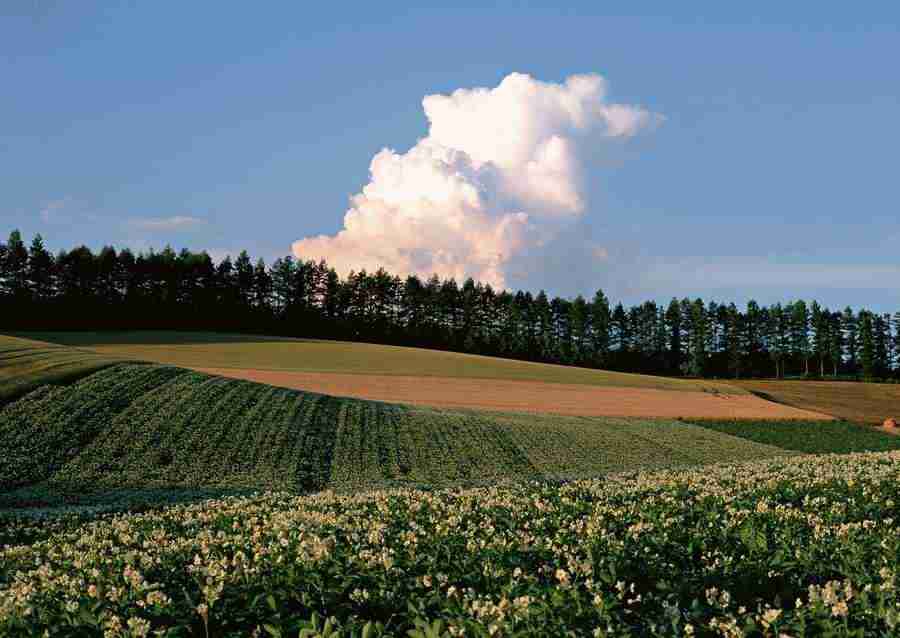 Ground and Sky - Datacraft Sozaijiten  ></a>
<script language=JavaScript> 
  var txt = 