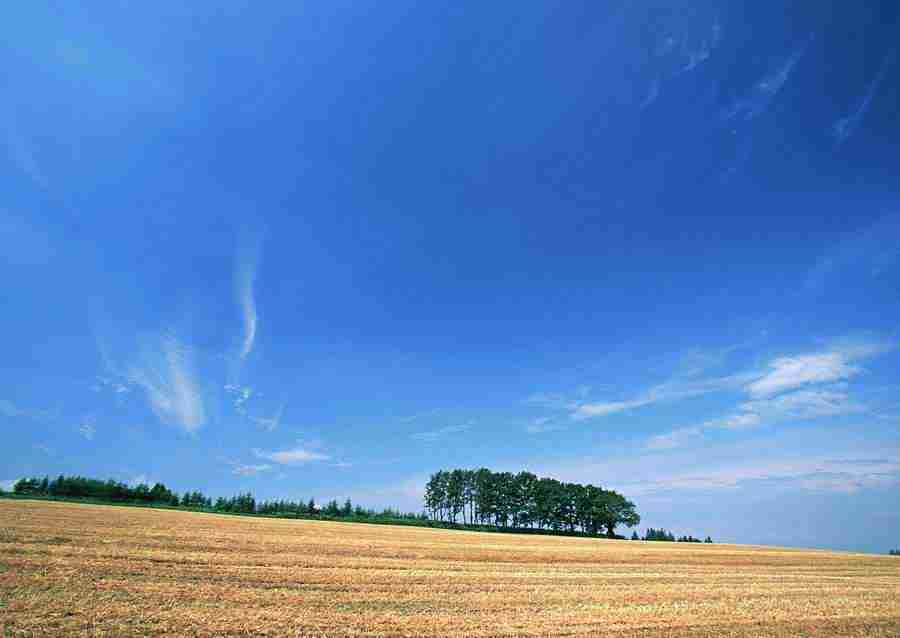 Ground and Sky - Datacraft Sozaijiten  ></a>
<script language=JavaScript> 
  var txt = 