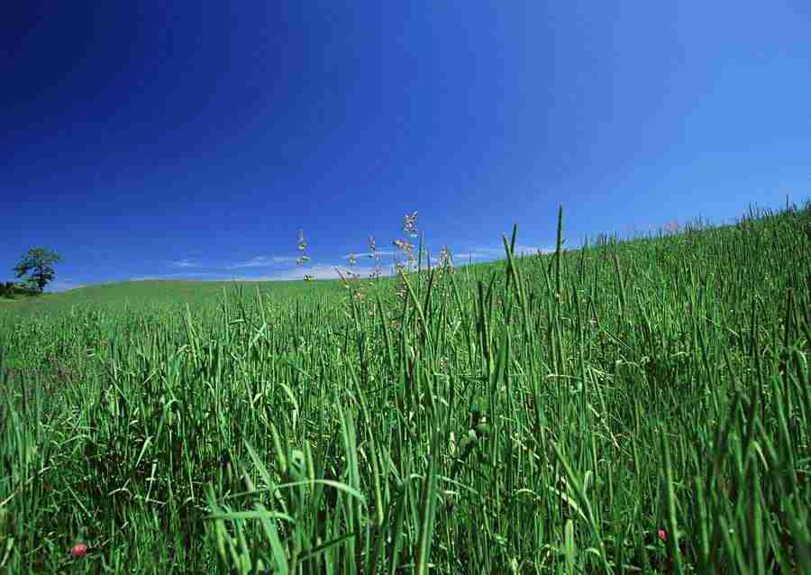 Ground and Sky - Datacraft Sozaijiten  ></a>
<script language=JavaScript> 
  var txt = 