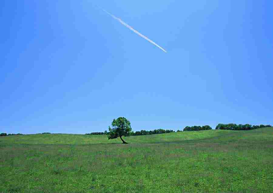 Ground and Sky - Datacraft Sozaijiten  ></a>
<script language=JavaScript> 
  var txt = 