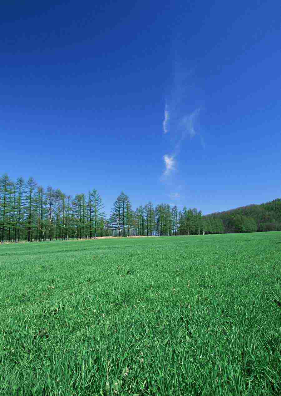 Ground and Sky - Datacraft Sozaijiten  ></a>
<script language=JavaScript> 
  var txt = 