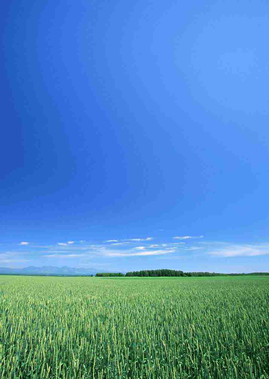 Ground and Sky - Datacraft Sozaijiten  ></a>
<script language=JavaScript> 
  var txt = 