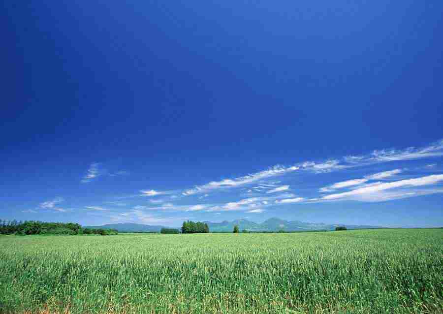 Ground and Sky - Datacraft Sozaijiten  ></a>
<script language=JavaScript> 
  var txt = 